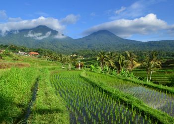 Negeri Utopia sebagaimana yang digambarkan Plato, menjadi mungkin jika kesalingan dalam berrelasi sosial terjalin dengan baik.