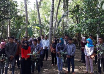 Kebun Sakinah