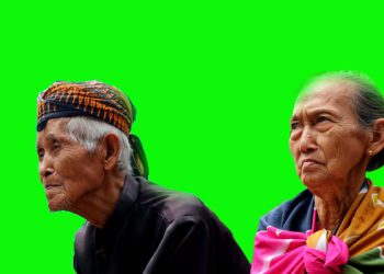 Adakah keluarga ideal