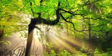 Makrifat Pagi; Tiga Perhatian