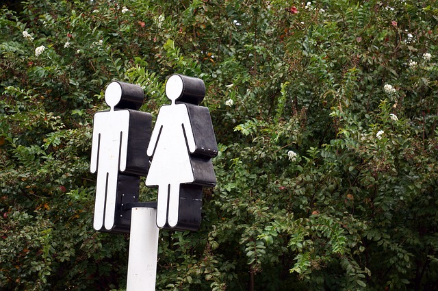 Hukum Istri Memberi Nafkah Suami