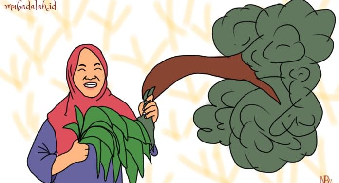 petani