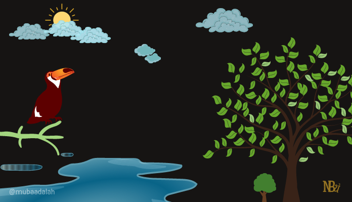 COP 29