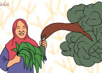 Ekofeminisme di Indonesia